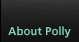 About Polly